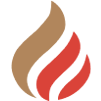 FHIR Explorer